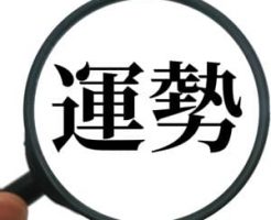 宿曜占星術で占えること・分かること・得意分野